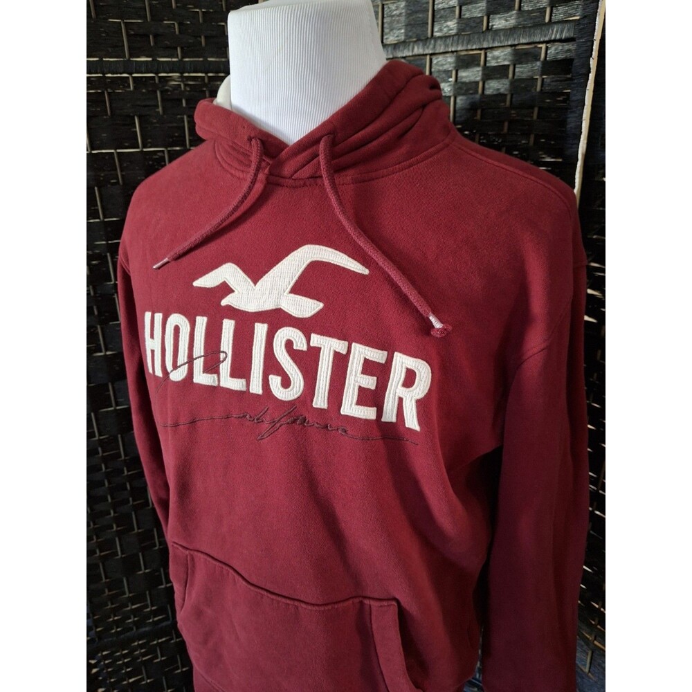 Hollister Hoodie California Big Seagull Men Medium Burgundy Y2K Skate Streetwear